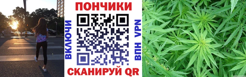 Бошки марихуана планчик  купить   Буй 